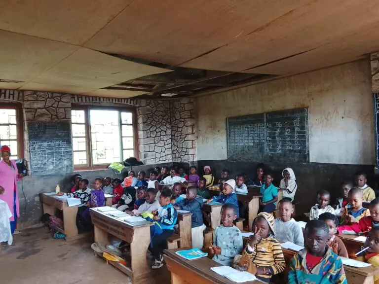 Young pupils at their desks in a classroom, with their teacher at the front